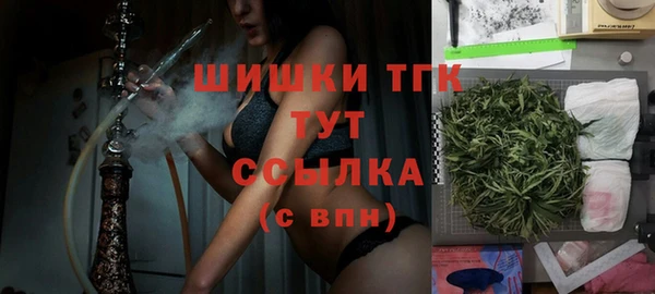 гидропоника Няндома