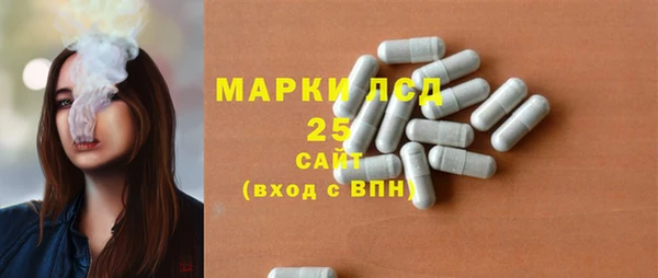 гидропоника Няндома