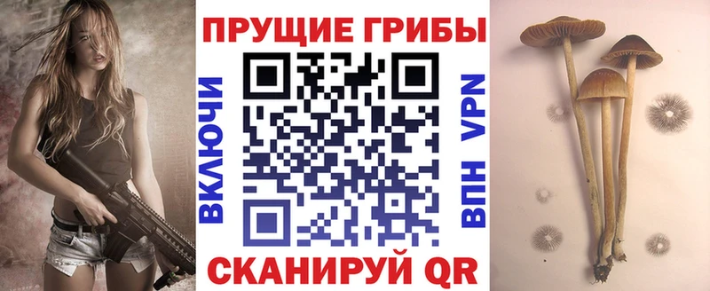 Галлюциногенные грибы прущие грибы  сколько стоит  Баймак 