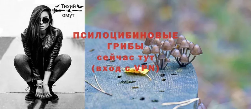 МЕГА ONION  Баймак  Галлюциногенные грибы Psilocybine cubensis 
